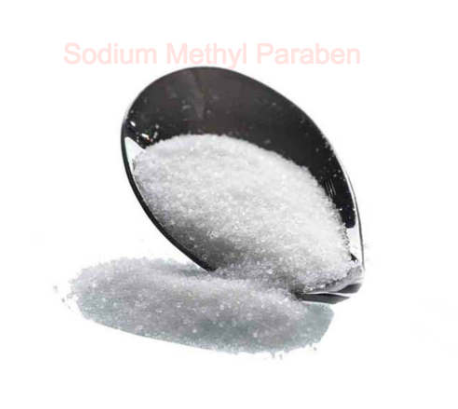 Antioxidants Preservative Sodium Methyl Paraben